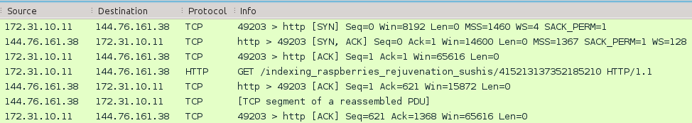 Fragment of the replayed network traffic seen from Wireshark. The victim IP address has been customized for the exercise.